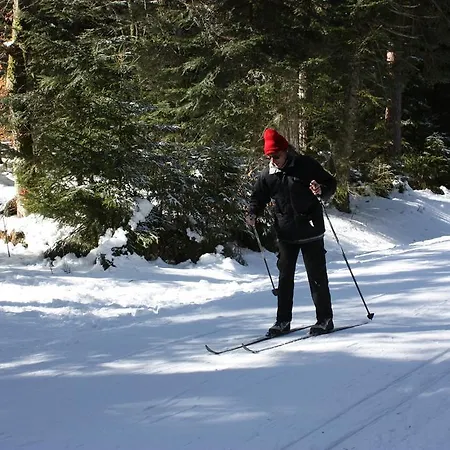Volcans Les Du Кемпинг
