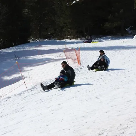 Campsite Volcans Les Du 3*