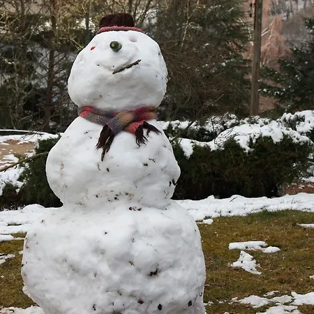 Volcans Les Du Айда