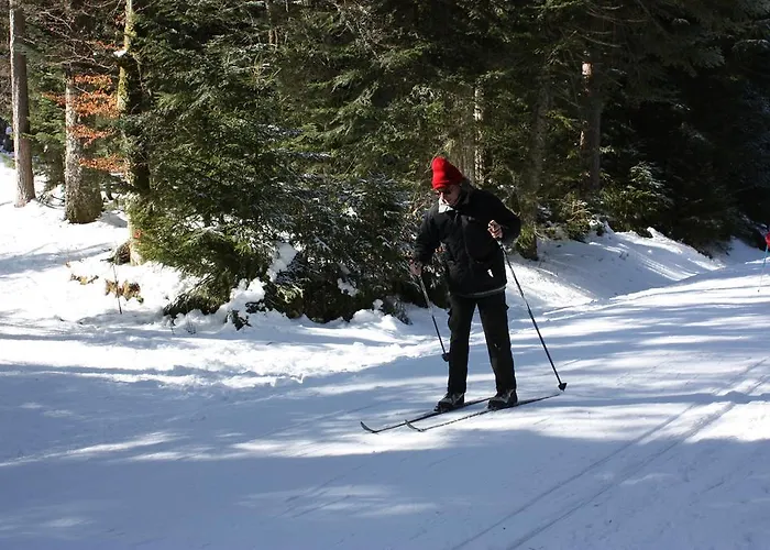Volcans Les Du Camping