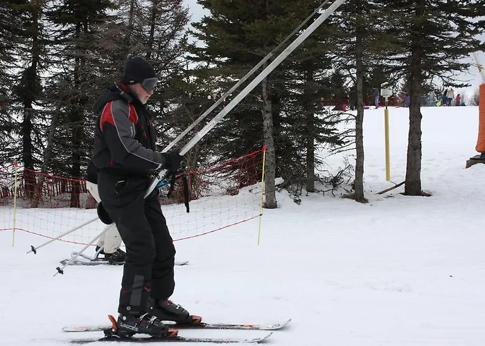 Volcans Les Du Camping 3*