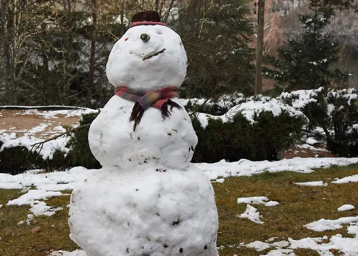 Volcans Les Du Aydat