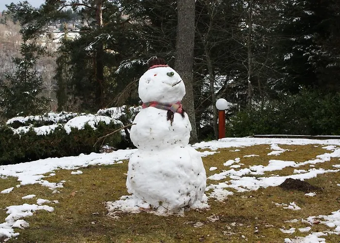 Volcans Les Du Camping 3*