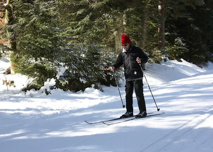 Volcans Les Du Camping Aydat