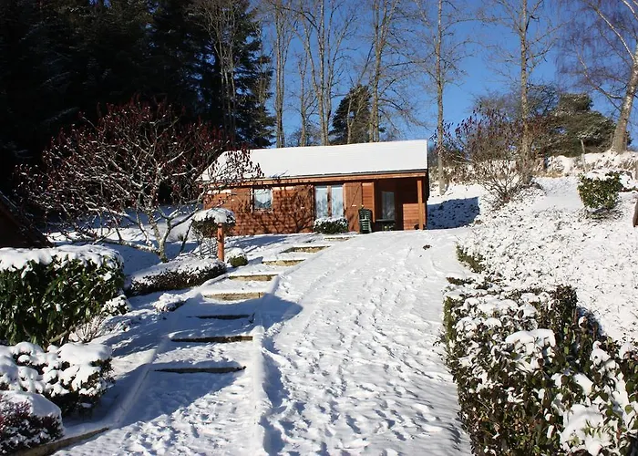 Volcans Les Du Camping